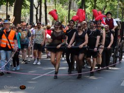Regenbogenparade 2024